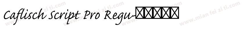 Caflisch Script Pro Regu字体转换